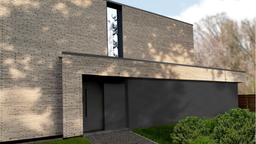 House with black outdoor wall panels